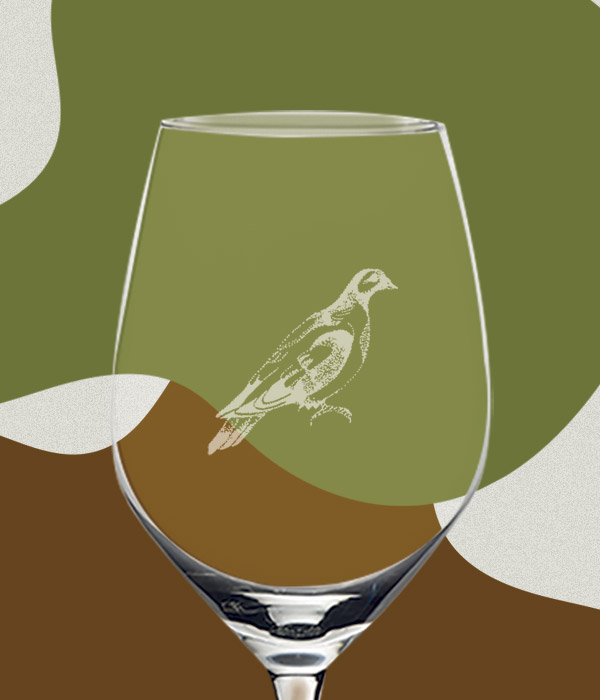 colombe-chasse-verre